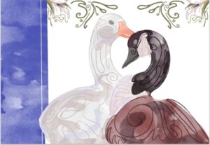 Ducks
